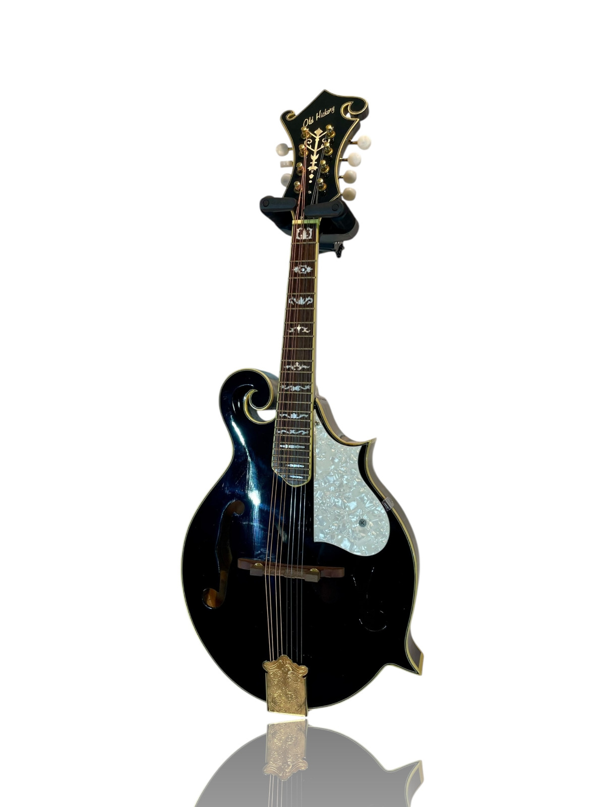 FC100 Mandolin